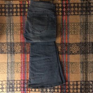 Free People Penny Pull on Flare jean